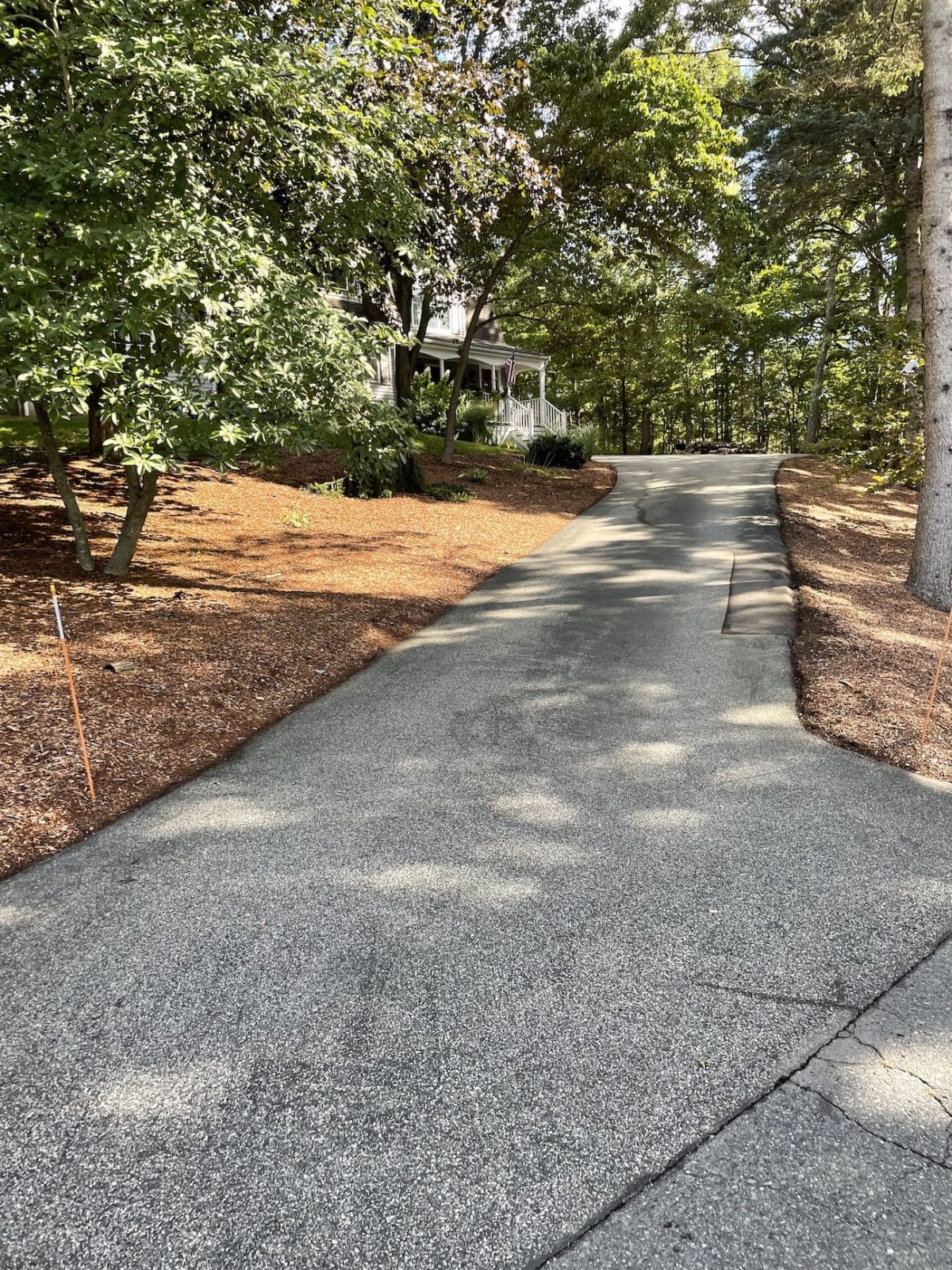 a road with trees and a house